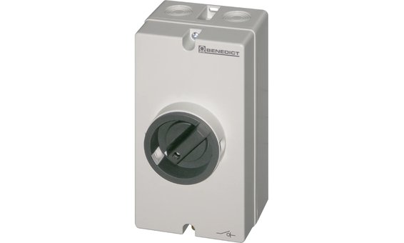TARU AC-Lasttrennschalter, LTS32 PFLH4 A4 + PE
